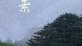 素专辑