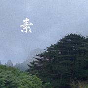 素