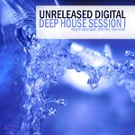 Deep House Session 1专辑