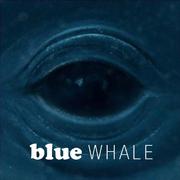 Blue Whale