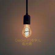 Gecko.Ft岑宁儿 - 追光者 (Future Bass Remix)