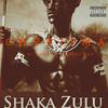 CHVRISMA - Shaka Zulu (feat. Dj Smati & Biggest Kay) (Radio Edit)