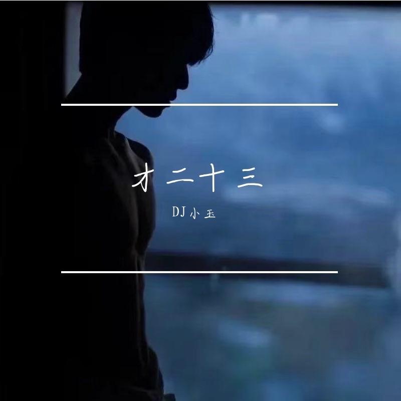 才二十三