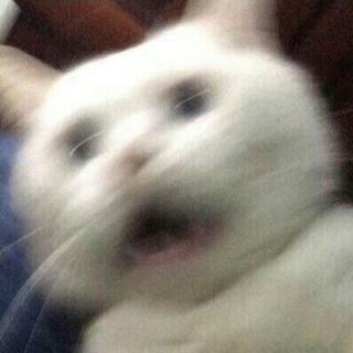 中国有嘻哈？ Diss 爱奇艺卷铺地快回家