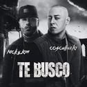 Te Busco (feat. Nan2 El Maestro De Las Melodias)专辑