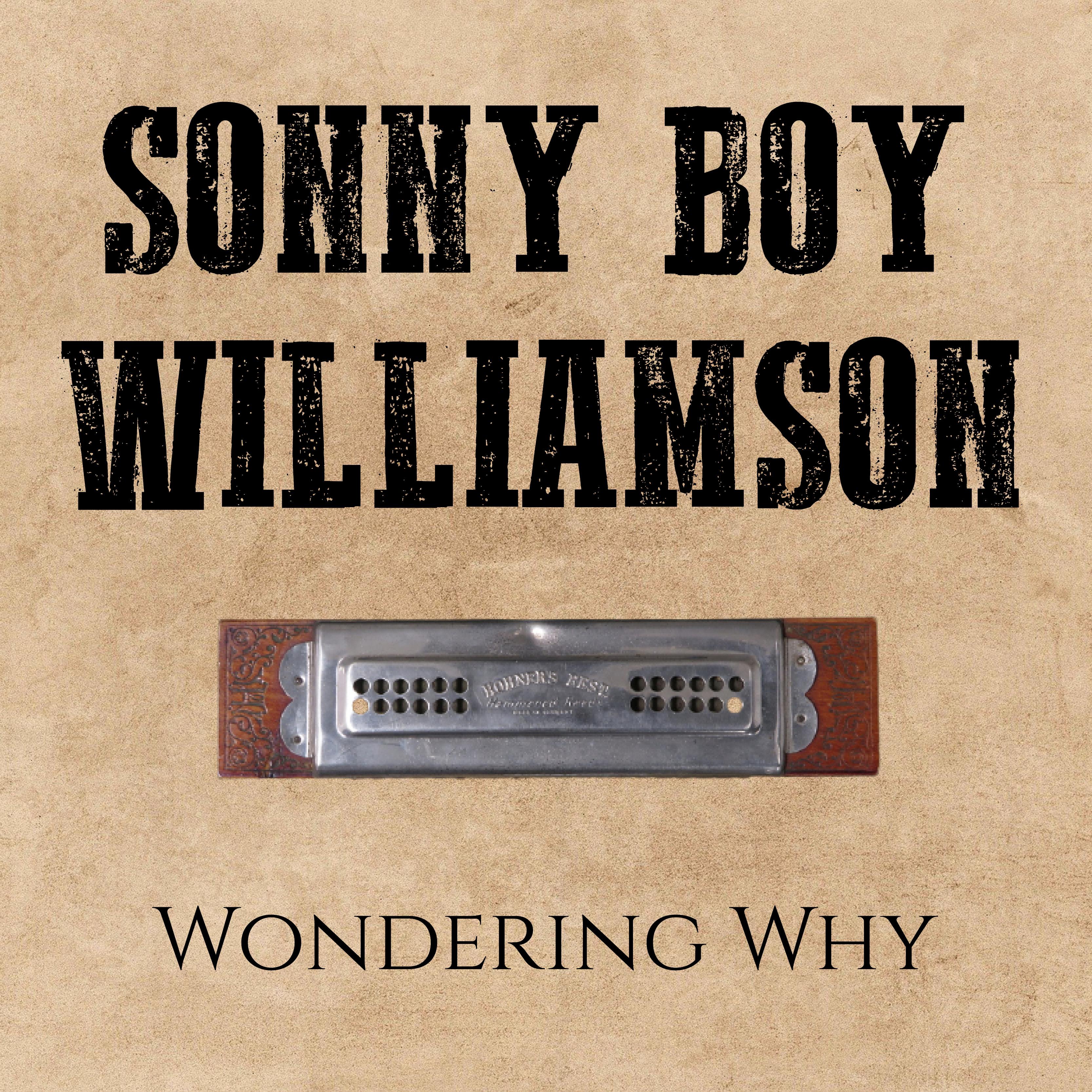 Wondering Why
