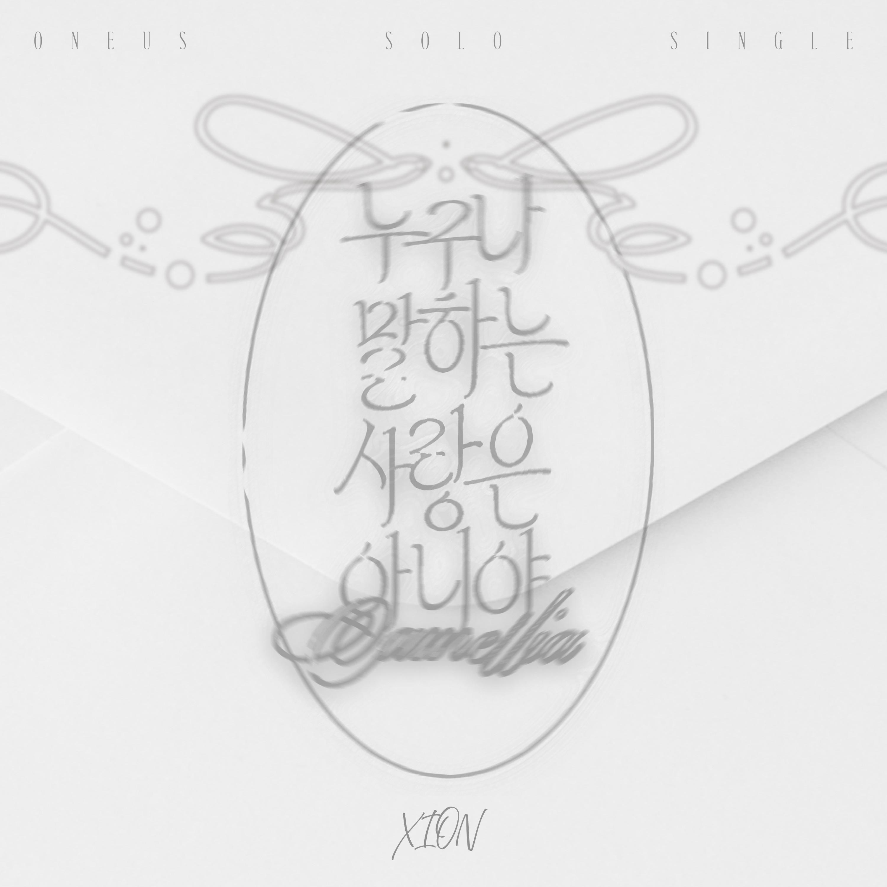 누구나 말하는 사랑은 아니야 (Camellia)专辑