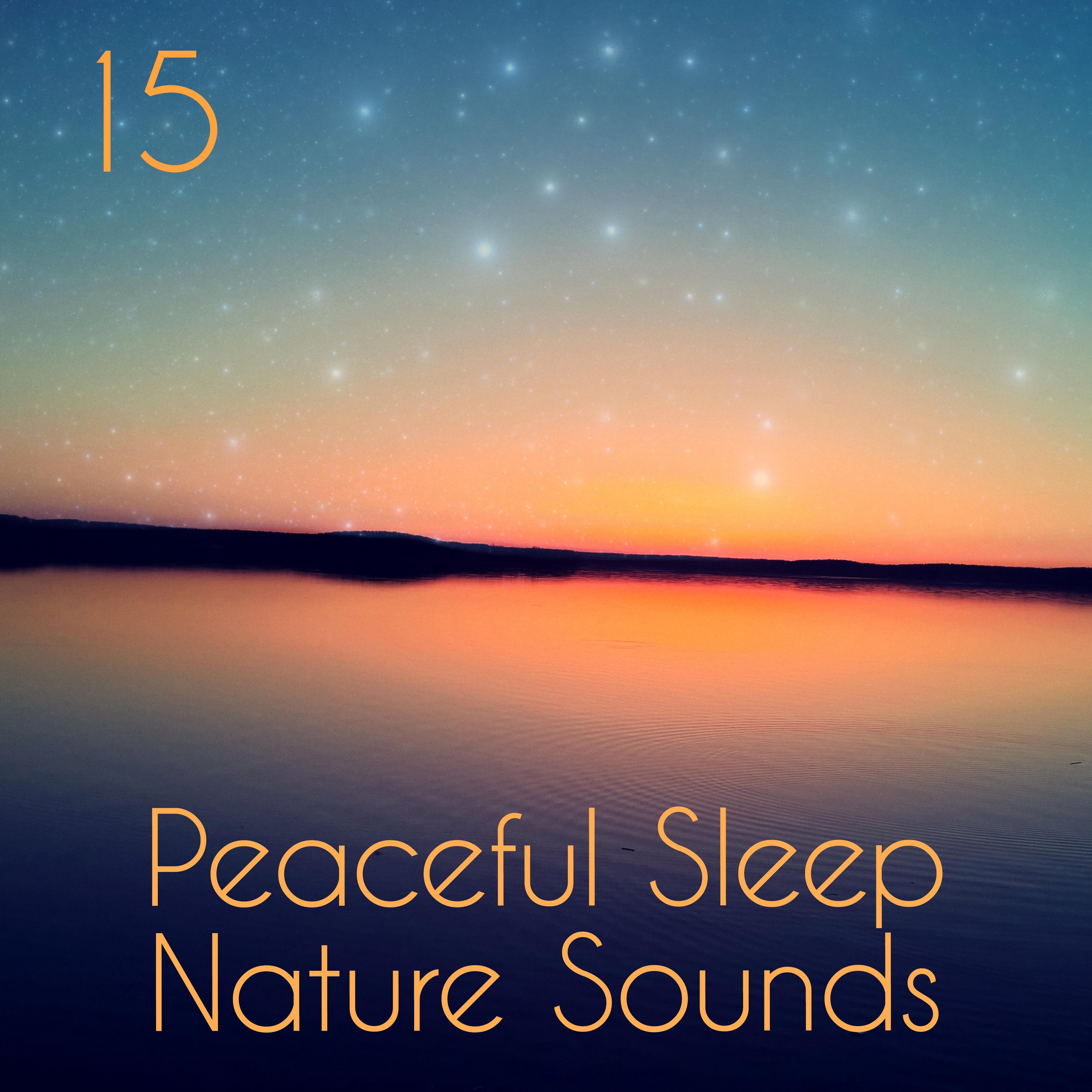 15 Peaceful Sleep Nature Sounds专辑