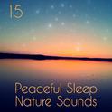 15 Peaceful Sleep Nature Sounds专辑