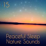 15 Peaceful Sleep Nature Sounds专辑