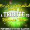 Er is niemand zoals jij (A Tribute to Ronnie Tober) - Single专辑