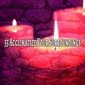 55 Acclimatize Your Surroundings专辑