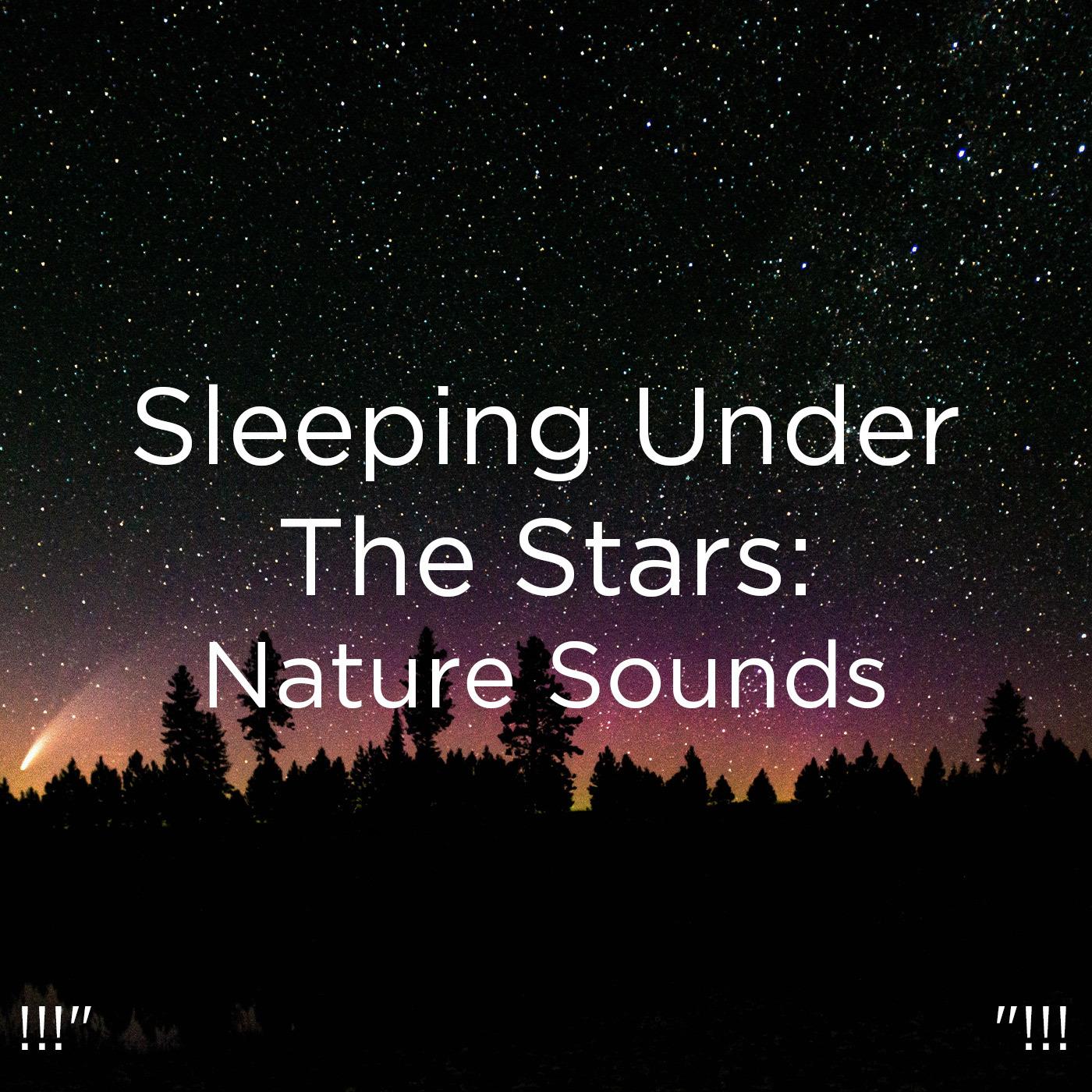 !!!" Sleeping Under The Stars: Nature Sounds "!!!