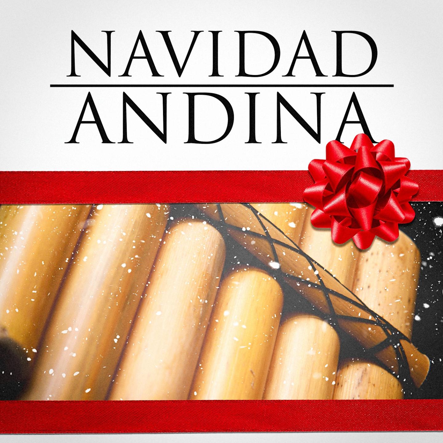 Navidad Andina (Villancicos De Navidad Andinos)专辑