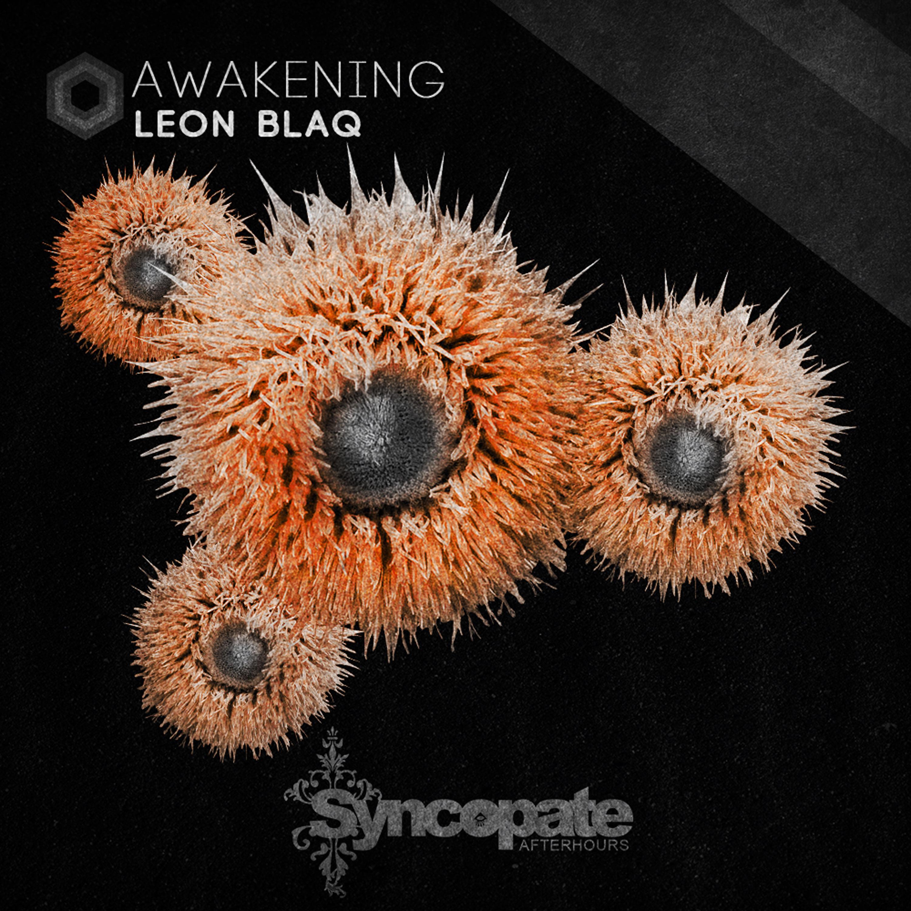 Awakening