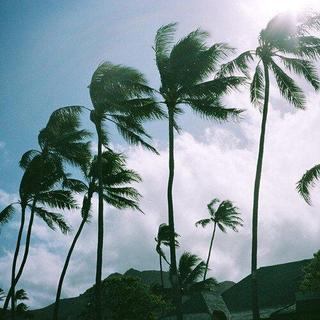 GFunk–令人上瘾的迷幻节奏