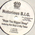 Hope You Niggas Sleep / Big Booty Hoes