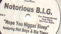 Hope You Niggas Sleep / Big Booty Hoes专辑
