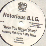 Big Booty Hoes (Club Mix) [feat. Too Short]