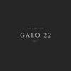 Yahir Saldivar - Galo 22, Vol.1