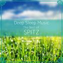 Deep Sleep Music - The Best of Spitz: Relaxing Music Box Covers专辑