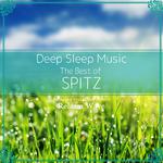 Deep Sleep Music - The Best of Spitz: Relaxing Music Box Covers专辑