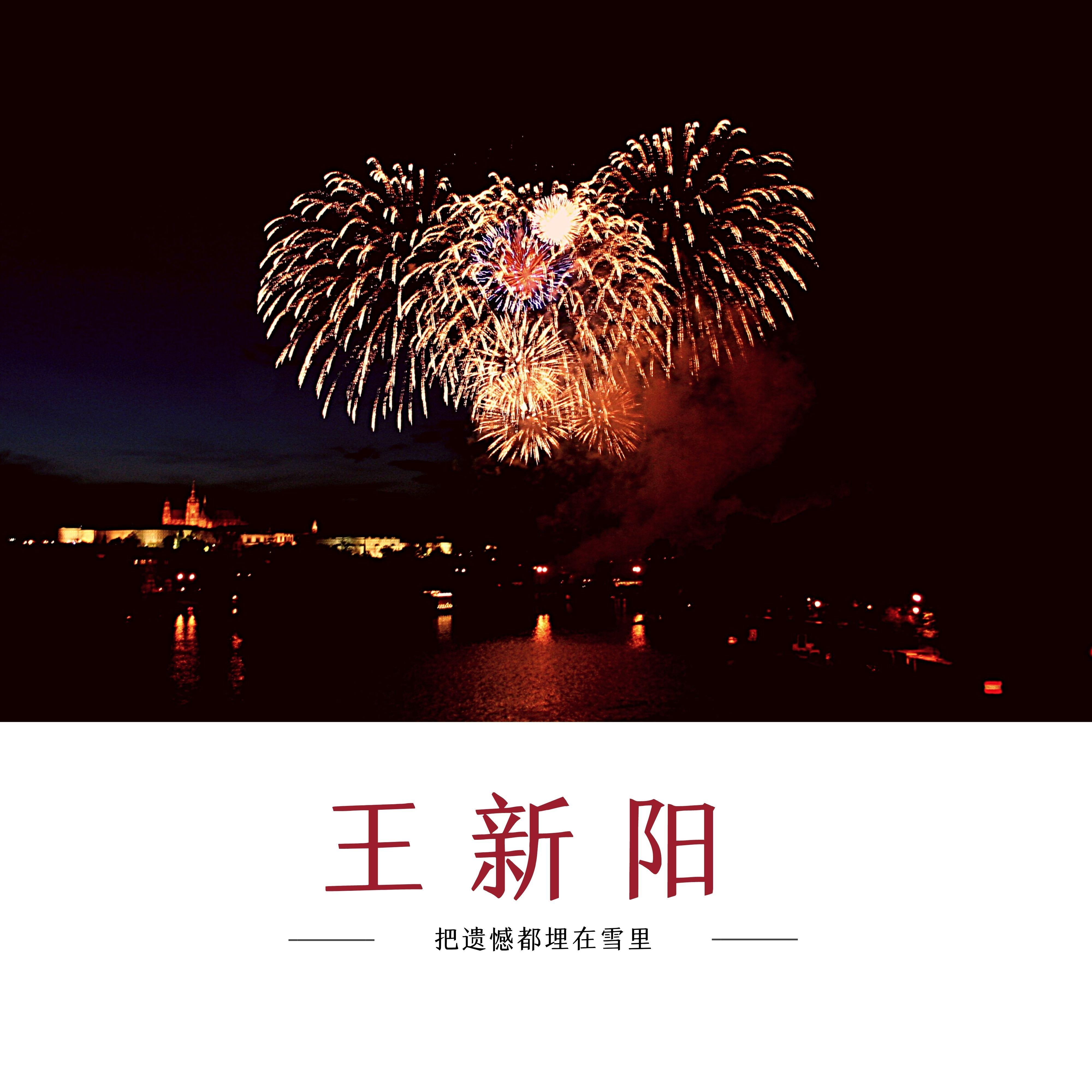 把遗憾都埋在雪里
