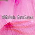 White Noise Storm Sounds