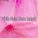 White Noise Storm Sounds专辑