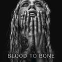 Blood to Bone专辑