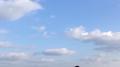 游园道专辑