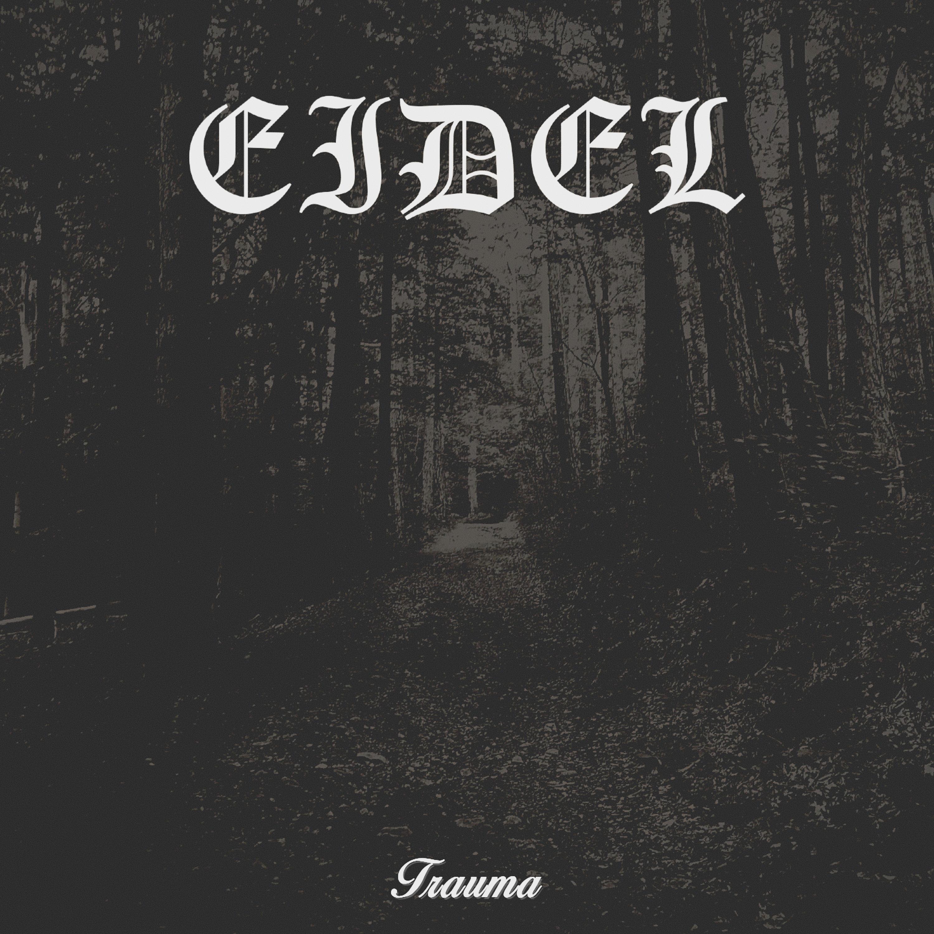 Trauma - EIDEL - 专辑 - 网易云音乐