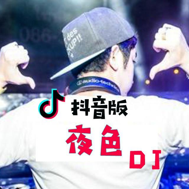 夜色 （抖音dj版）