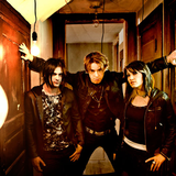 Sick Puppies