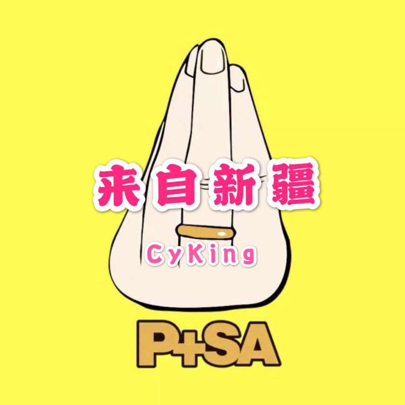 CyKing - 来自新疆