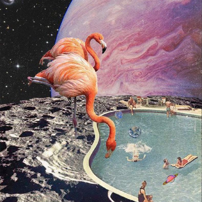 午 夜 麻 醉 剂 4.0