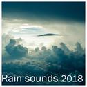 #15 Rain Sounds for Summer - Sleep, Study, Meditate and Relax专辑