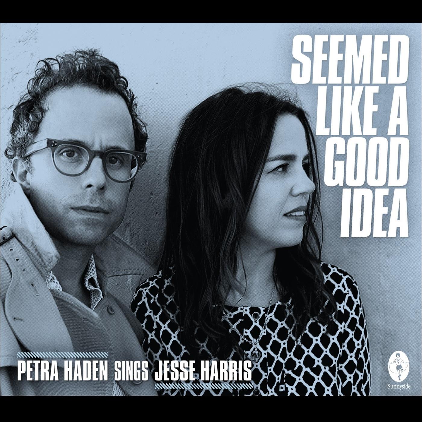 Seemed Like a Good Idea - Petra Haden Sings Jesse Harris