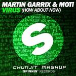 Virus(ChunJit Mashup)专辑