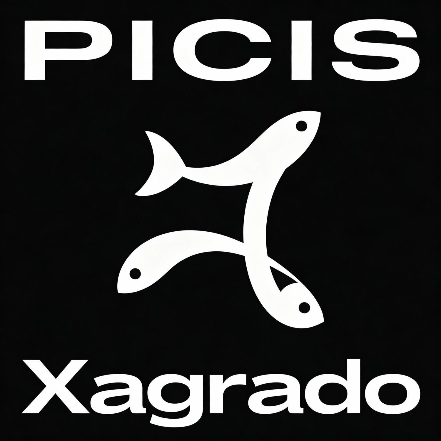 FLOKI (INSTRUMENTAL)