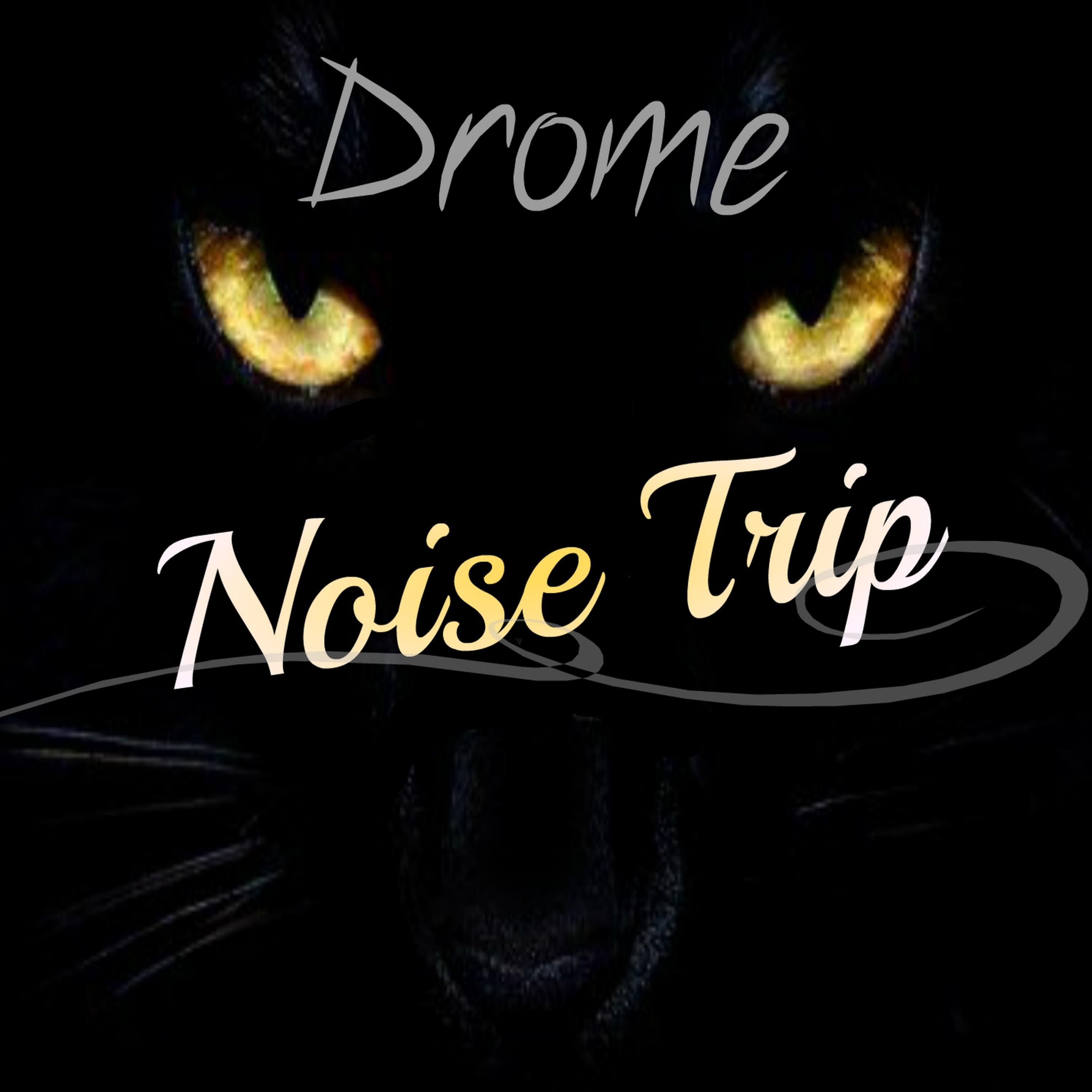 Noise Trip