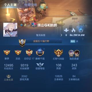 全世界最好的卢家鹏