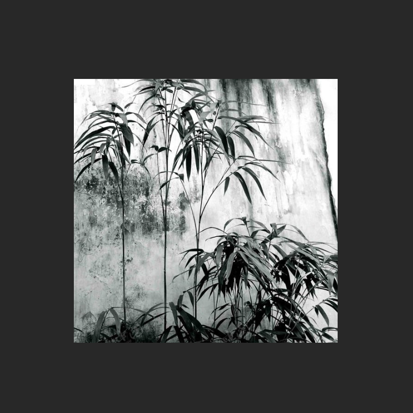 "竹语"中国风&RICHNOMADIC Type Beat