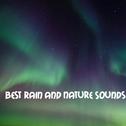 13 The Best Rain and Nature Sounds. Real Rain Sounds for Sleep and Meditation专辑