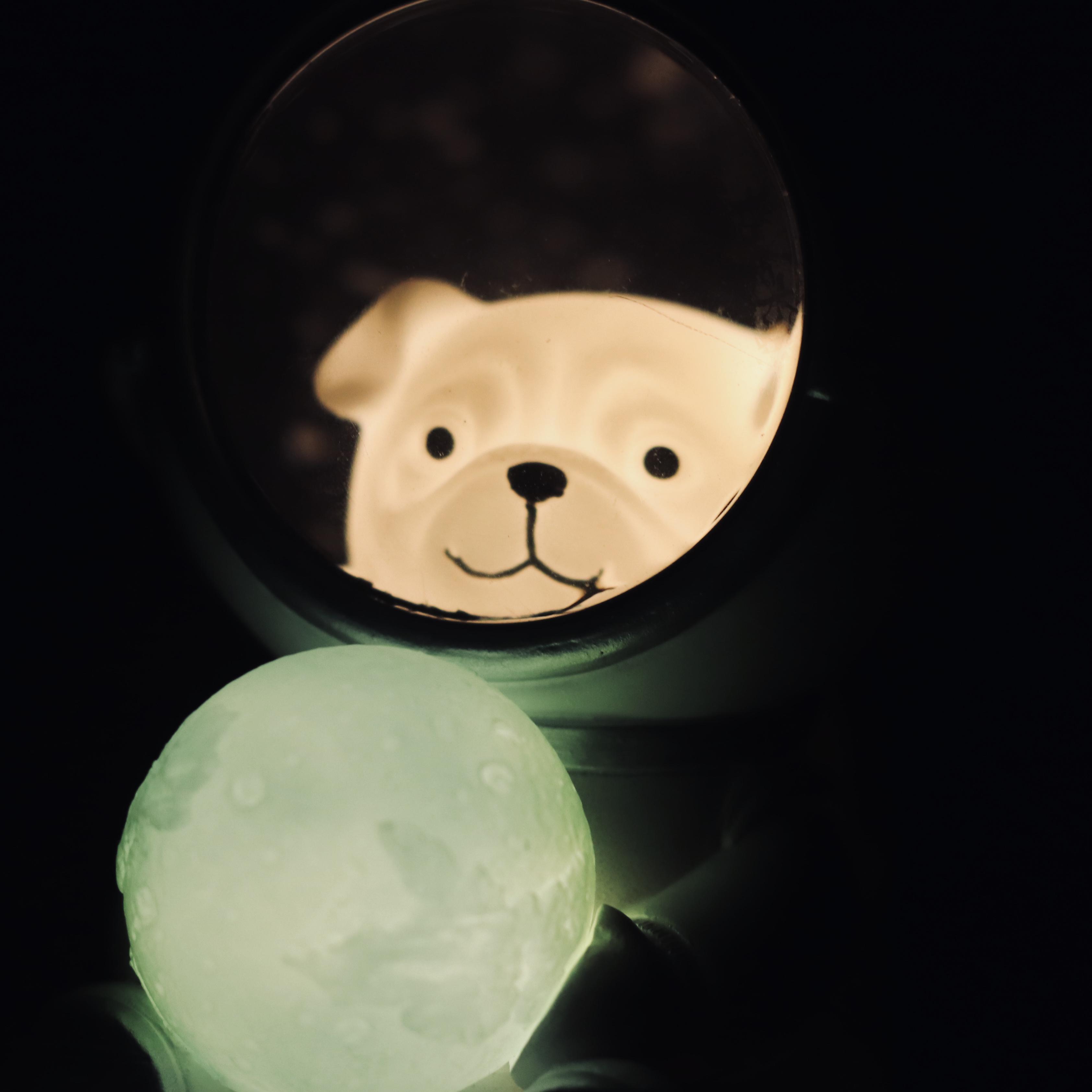 地球上的火星人