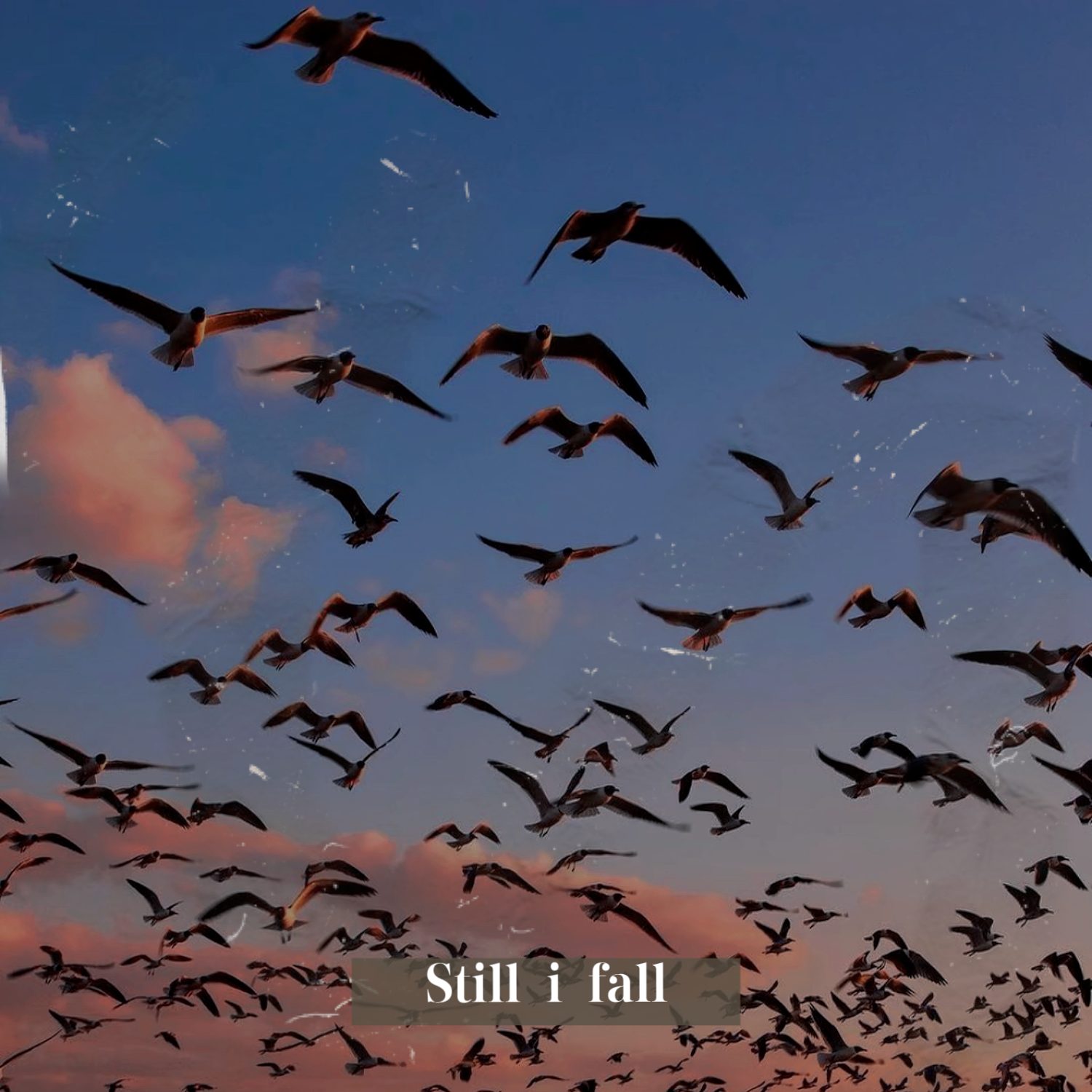 Still i fall
