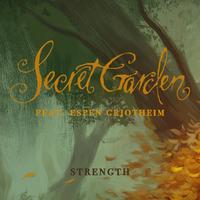 Strength(X战记 OVA主题歌)