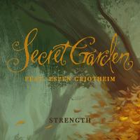 神秘园 Strength - Secret Garden 伴奏