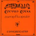 Congregatio - Zumpfkopule专辑