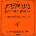 Congregatio - Zumpfkopule专辑